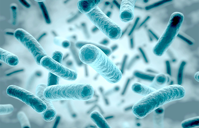 歯周病になるのはなぜ？